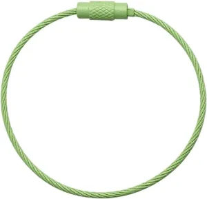 10Pcs 150mm Stainless Steel Wire Key Ring Ring Rope Cable Ring Outdoor Camp Luggage Tag Screw Lock Small Accessories (Color : Green, Size : 150mm)