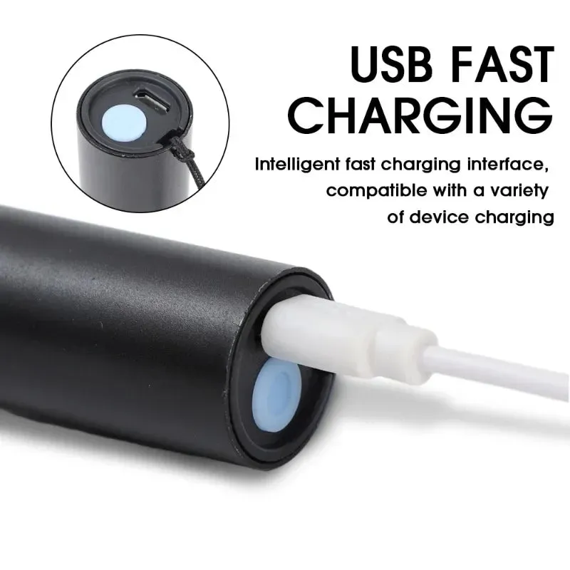 10W 365nm UV Flashlight USB Rechargeable Ultraviolet Torch pets urine Cat tinea Money Ore Scorpion Detection Black light