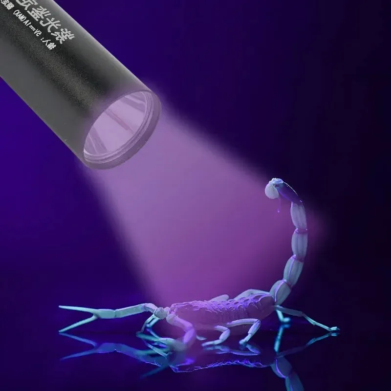 10W 365nm UV Flashlight USB Rechargeable Ultraviolet Torch pets urine Cat tinea Money Ore Scorpion Detection Black light