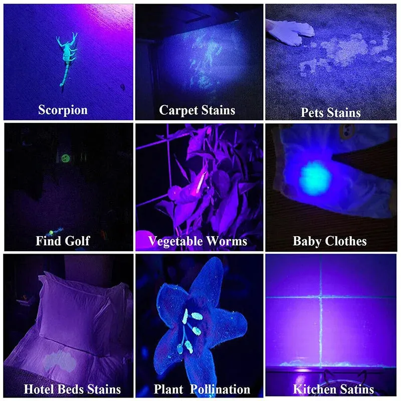 10W 365nm UV Flashlight USB Rechargeable Ultraviolet Torch pets urine Cat tinea Money Ore Scorpion Detection Black light