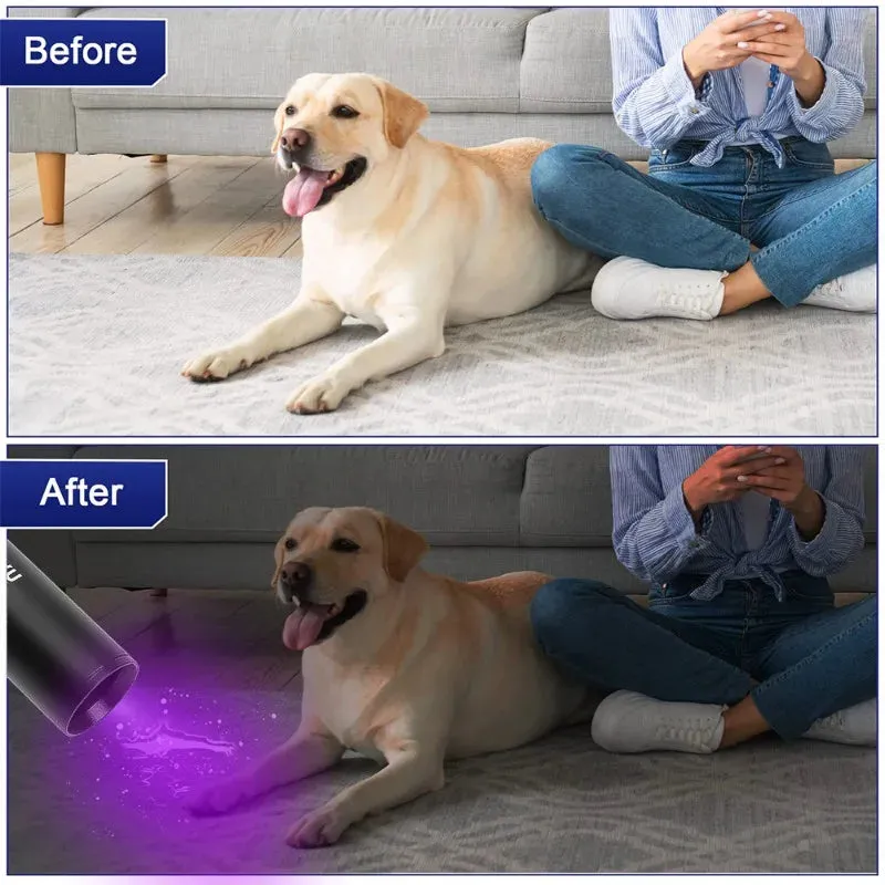 10W 365nm UV Flashlight USB Rechargeable Ultraviolet Torch pets urine Cat tinea Money Ore Scorpion Detection Black light