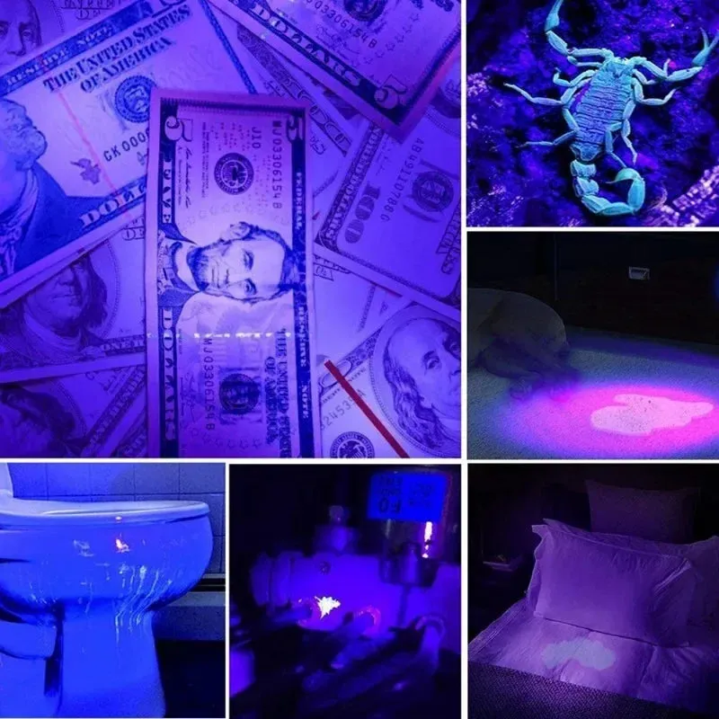 10W 365nm UV Flashlight USB Rechargeable Ultraviolet Torch pets urine Cat tinea Money Ore Scorpion Detection Black light