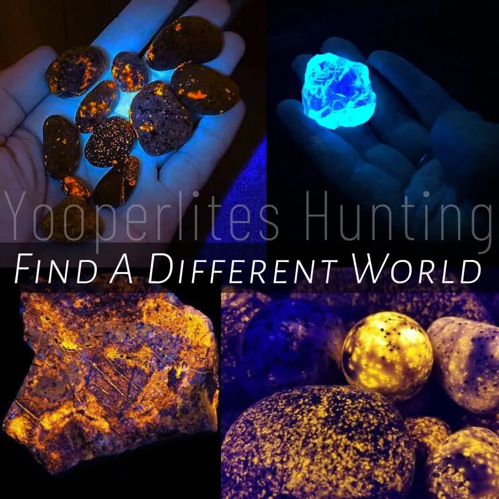 365NM UV Black Light Flashlite, High Power Blacklight Flashlights with Professional Filtered 3 LED Bead, for Pet Urine Detection, Dry Stains, Gemstone Observation(8.6'' 11.4'')