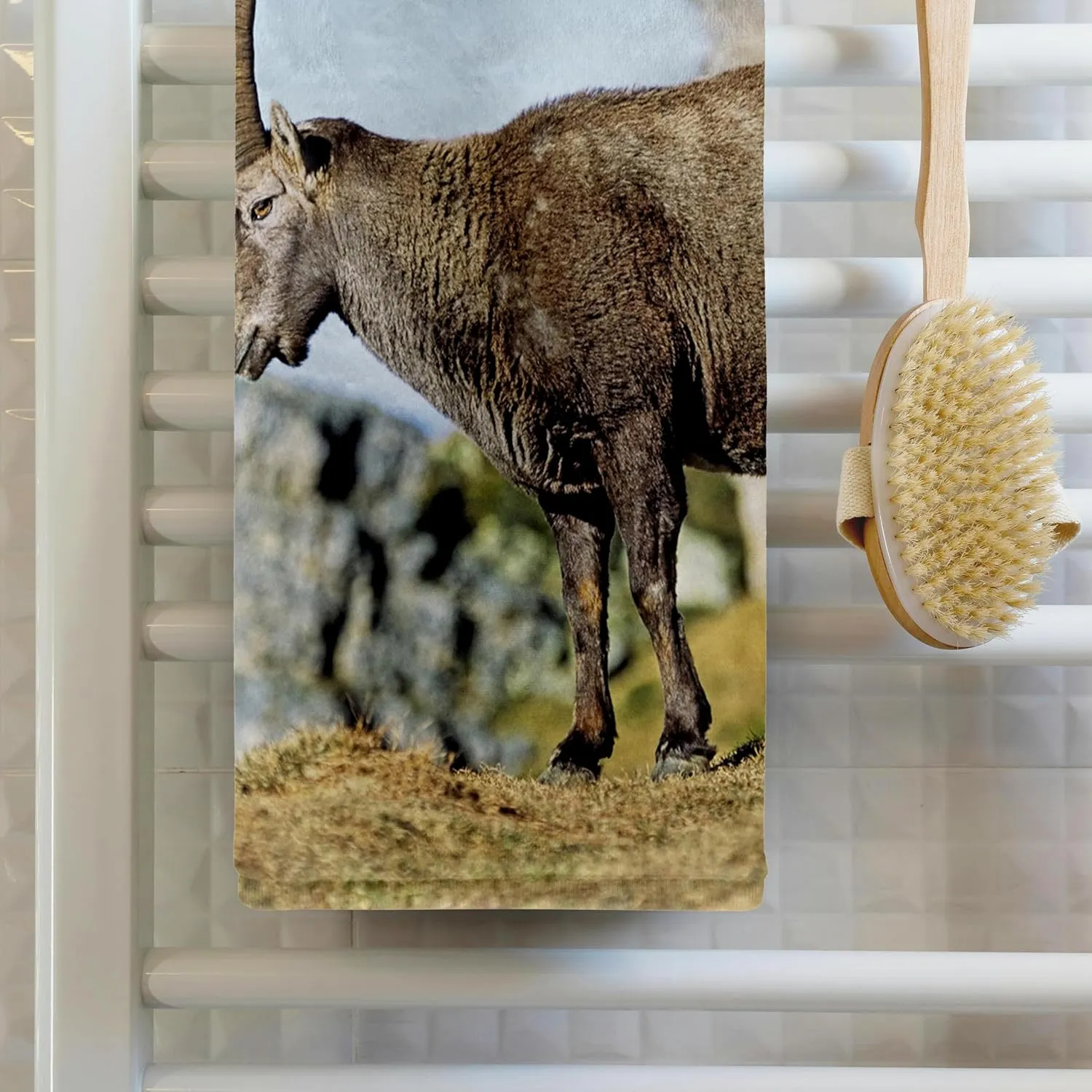 3dRose 22x30 Bath Hand Pool Towel - Alpine Ibex Wildlife, Bernese Oberland, Switzerland - EU29 MZW0032 - Martin Zwick Wildlife