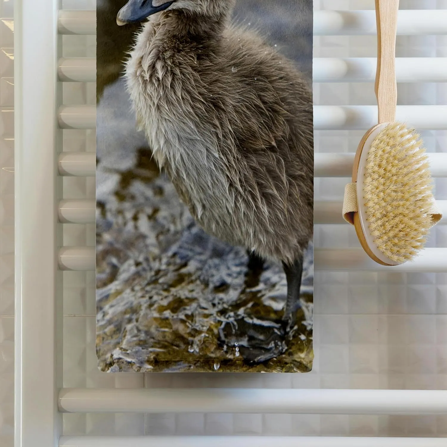 3dRose 22x30 Bath Hand Pool Towel - Eider Chick, Bird, in Pond, Reykjavik, Iceland - EU14 RBE0187 - Ralph H. Bendjebar Birds