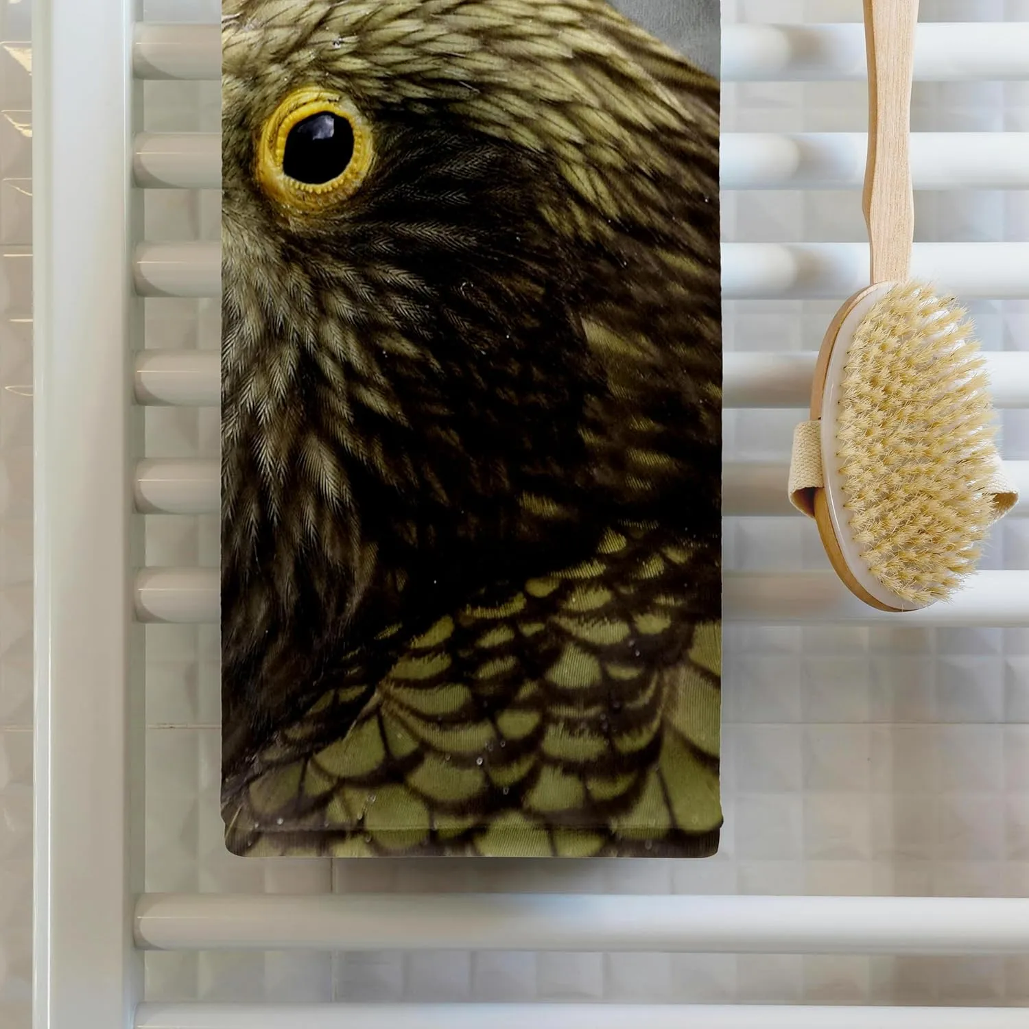 3dRose 22x30 Bath Hand Pool Towel - Kea, Alpine Parrot, Tropical Bird, New Zealand-AU02 DWA4894 - David Wall Tropical Birds