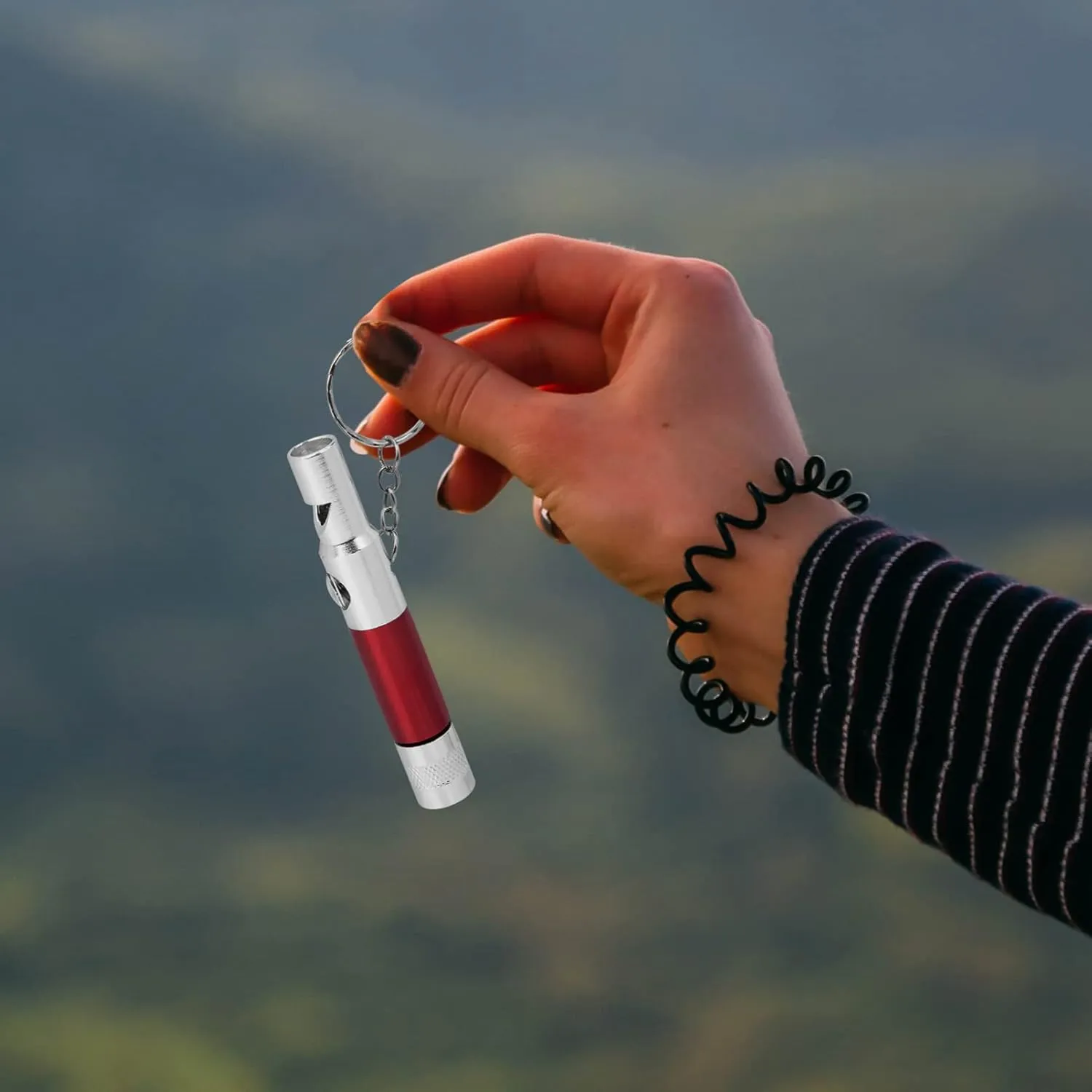 BESPORTBLE 2pcs Survival Whistles with Compass Flashlight Multifunctional Emergency Whistles