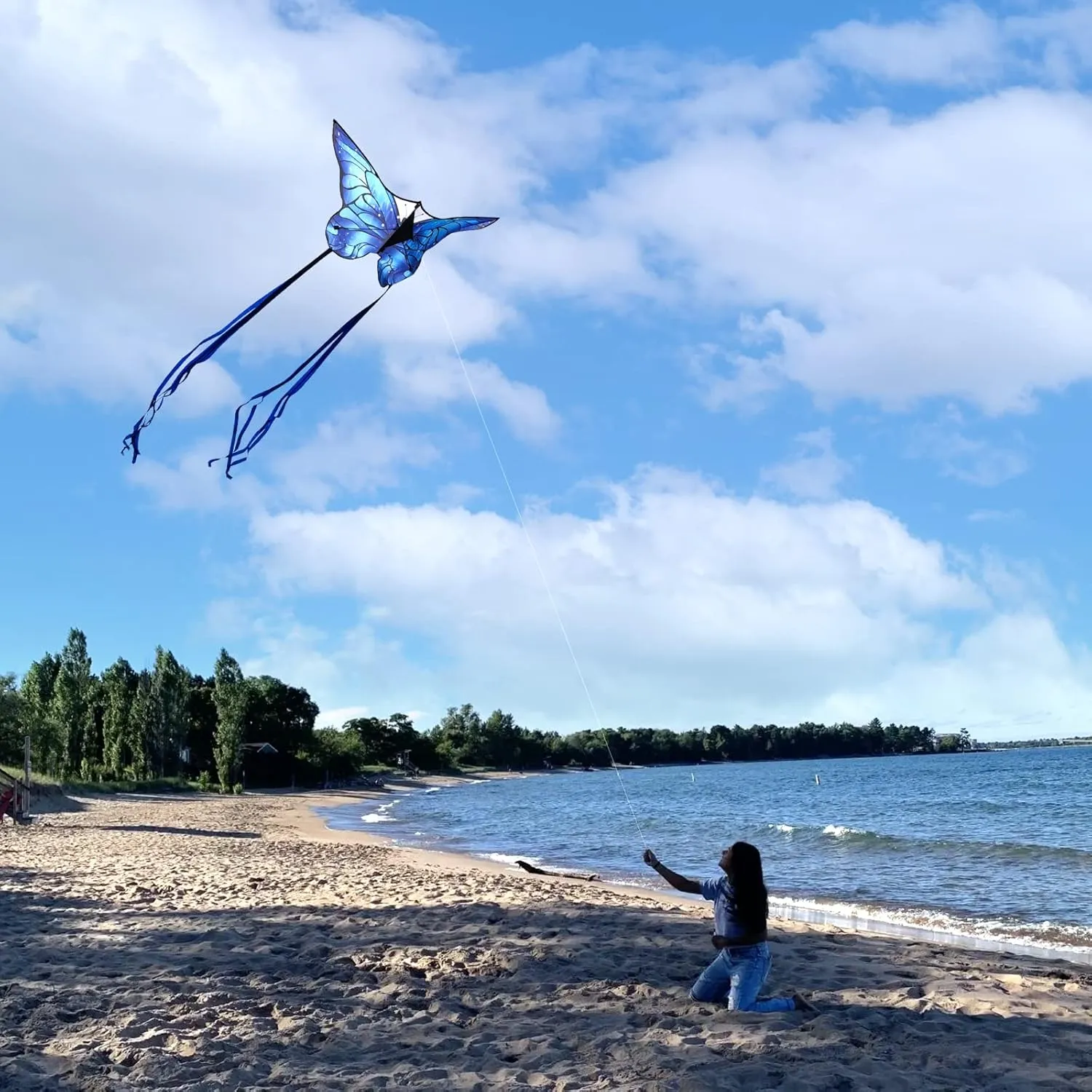 Butterfly Kites for Kids and Adults, Easy to Fly Large Single Line Kite for Boys and Girls - 55" x 28" Beach Kite for Beginners, 300ft String Handle Included