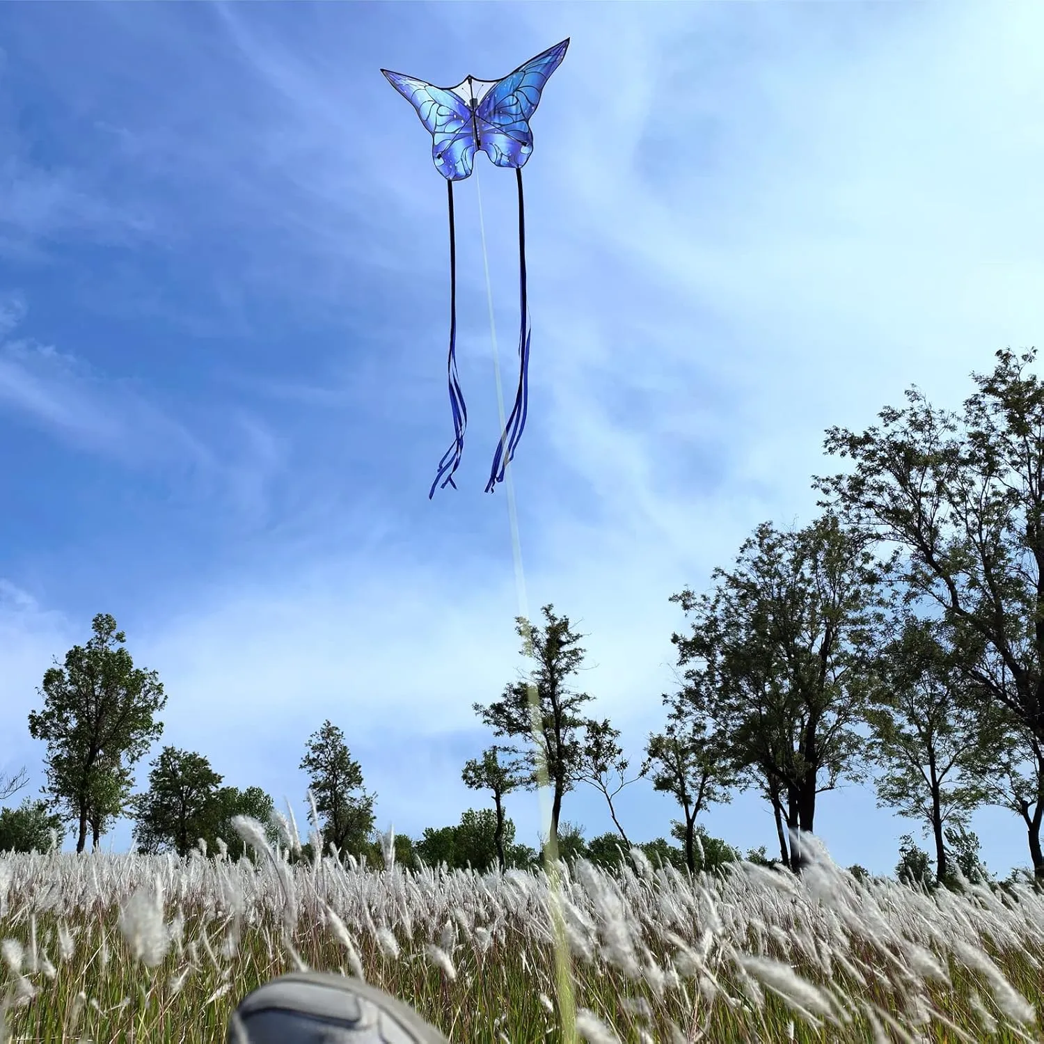 Butterfly Kites for Kids and Adults, Easy to Fly Large Single Line Kite for Boys and Girls - 55" x 28" Beach Kite for Beginners, 300ft String Handle Included