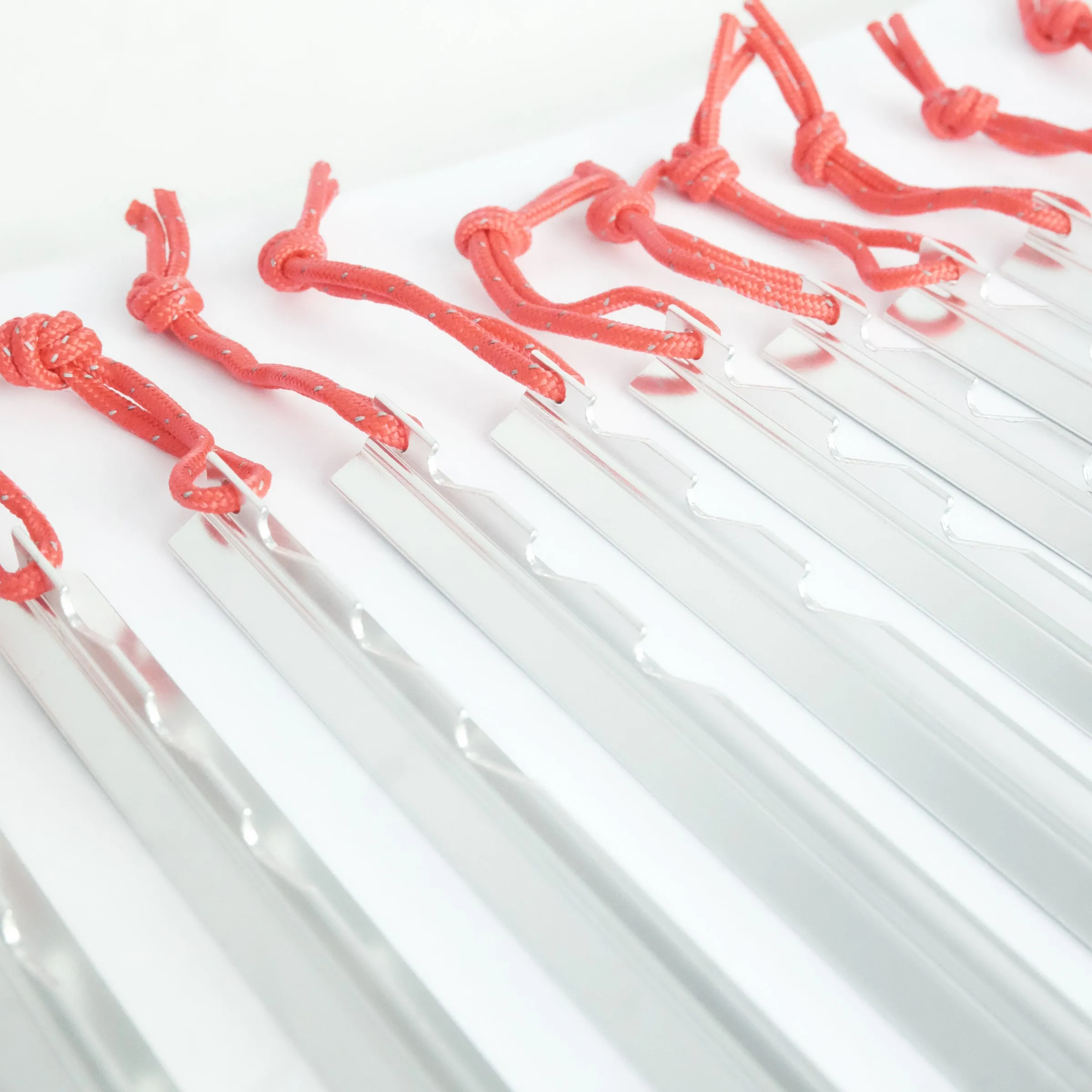 LIGHTWEIGHT TENT PEGS
