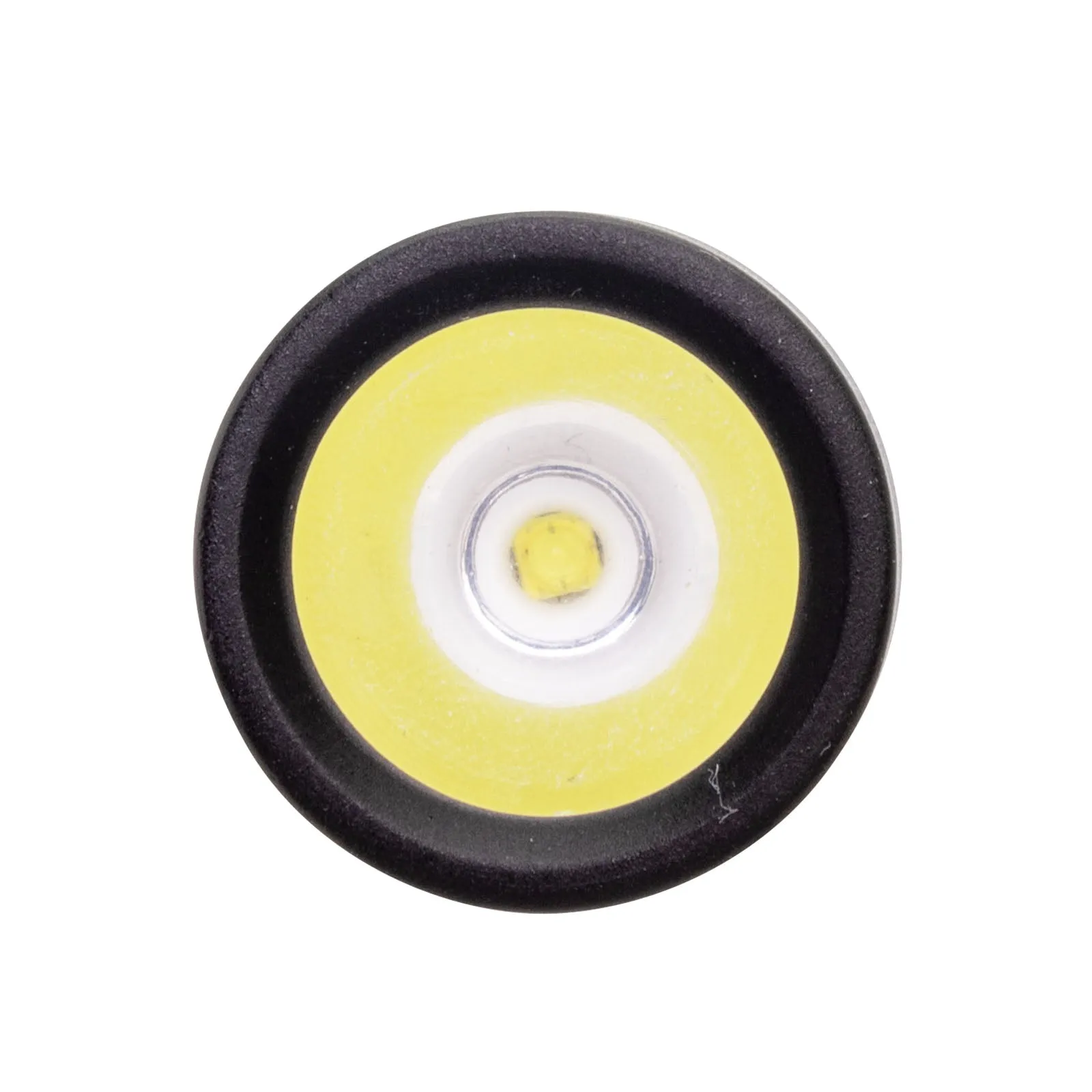 LitezAll Icy Light Ice Scraper with Removable Utility Flashlight