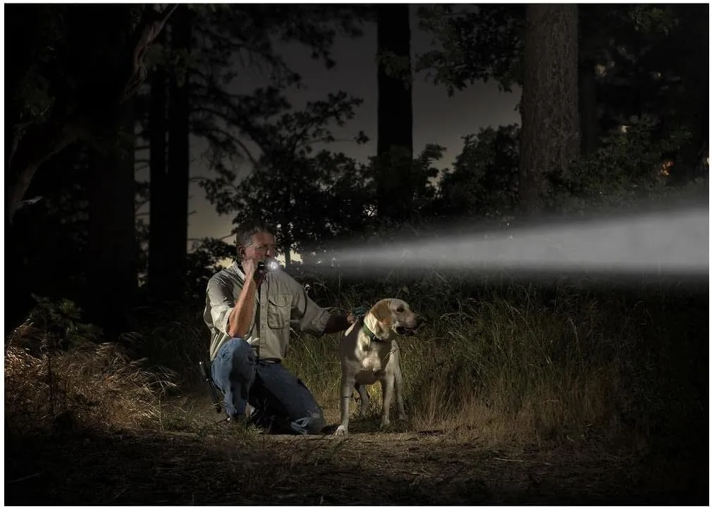Mag Instrument Maglite ML25LT-S3106 LED 3-Cell C Flashlight, Silver