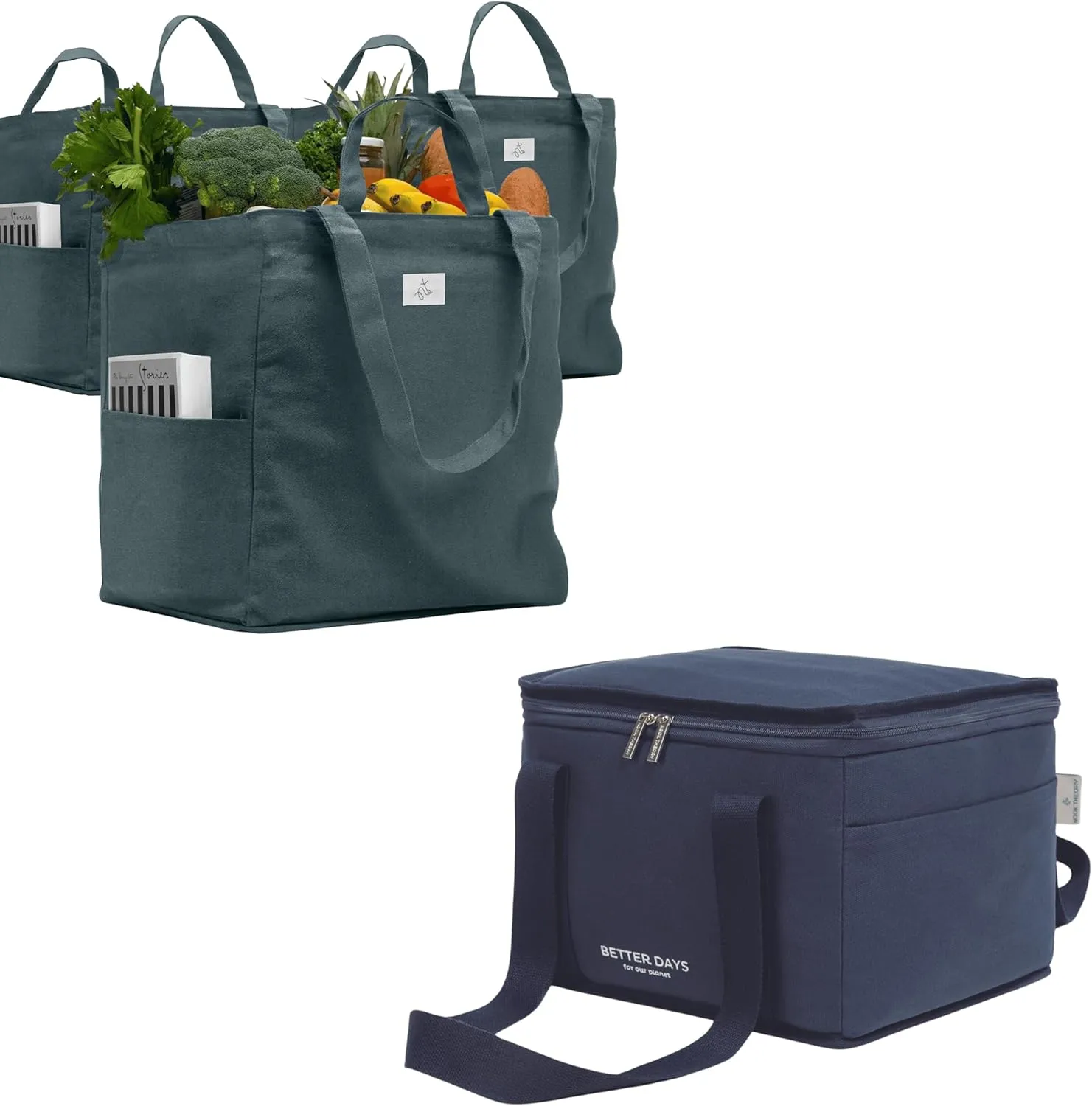 Nook Theory Canvas Grocery Tote and Insulated Regular Bag – Reusable Shopping Bag for Daily Use (Ocean D.Blue)