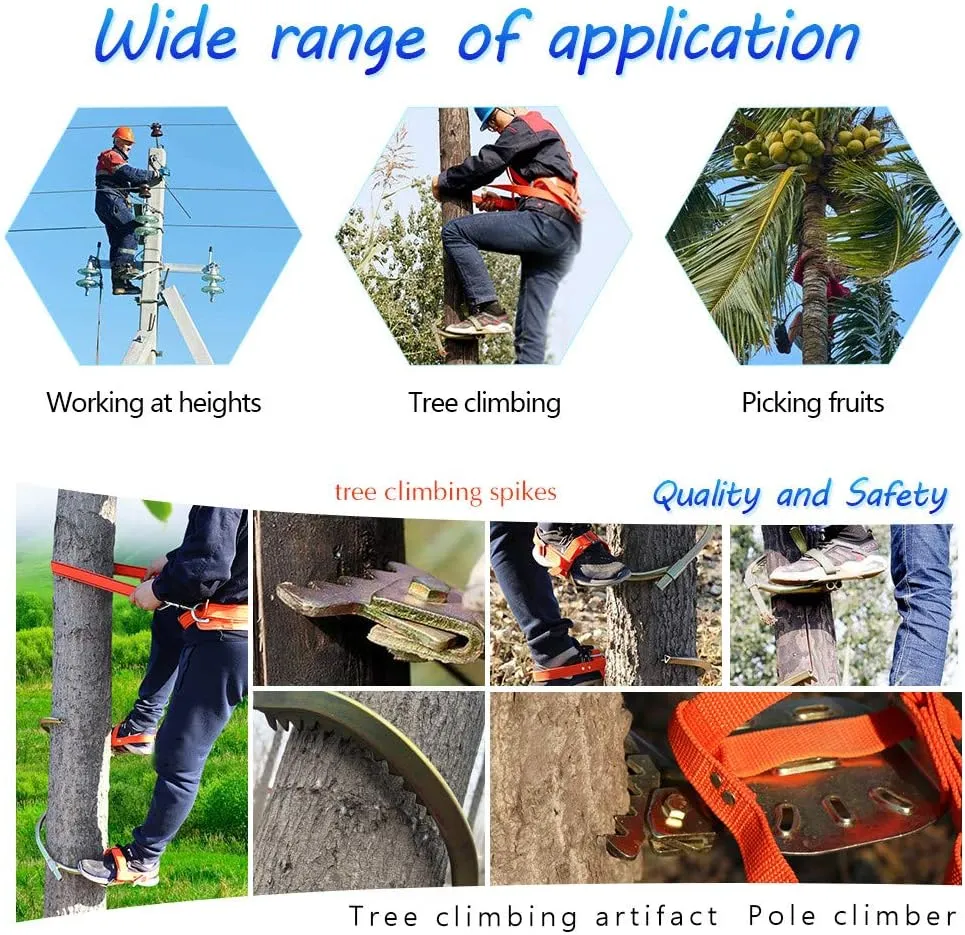 Pole Climbing Spikes, Stainless Steel Tree Climbing Gear, Professional Anti-Skid Tool, Rust-Proof and Wear-Resistant, Tree Climbing Tool for Hunting Observation, Picking Fruit,400model