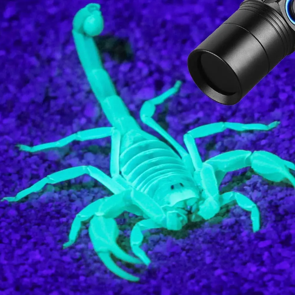 Rechargeable Blood Tracking Flashlight for Hunting at Night