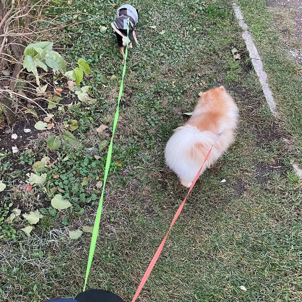 Retractable Dog Leash for 2 Dogs with LED Light and Waste Bag Dispenser - Durable Comfort