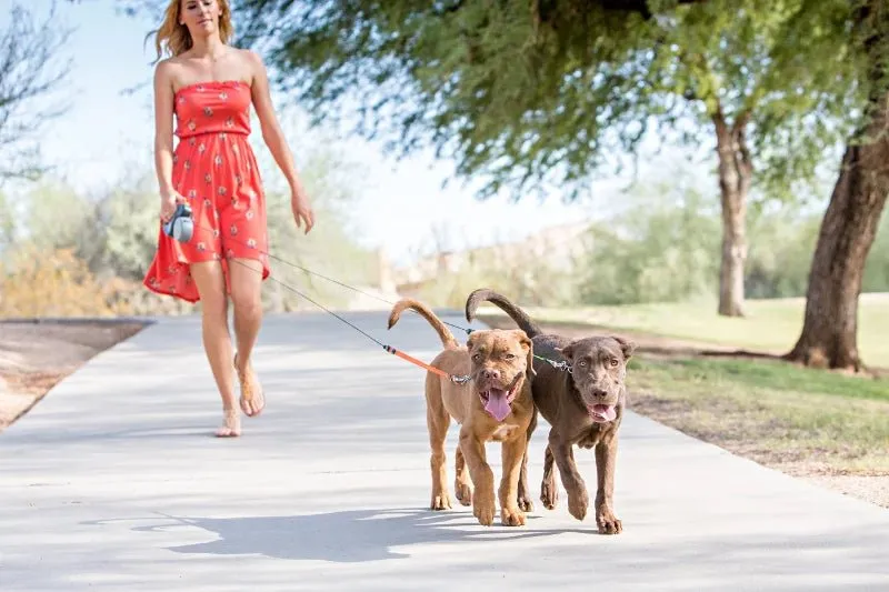 Retractable Dog Leash for 2 Dogs with LED Light and Waste Bag Dispenser - Durable Comfort