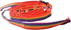 Travel Rainbow Adjustable Clothesline Portable Indoor Outdoor Drying Rope with Bag for Camping Easy Clip Use for Towels Underwear Socks Design Colorful Rainbow Style