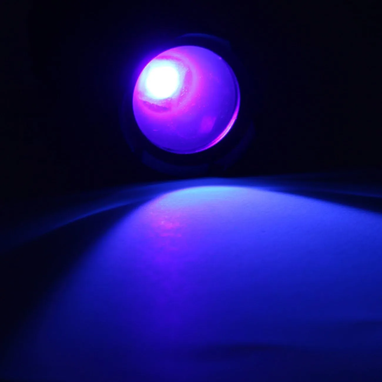 UV Flashlight, UV Light LED Flashlight , Zoomable 395nm UV Flashlight Black Light Detector for Pets Urine and Stains, Bed Bugs and Scorpions (2 Pack)